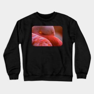 Flamingo Crewneck Sweatshirt